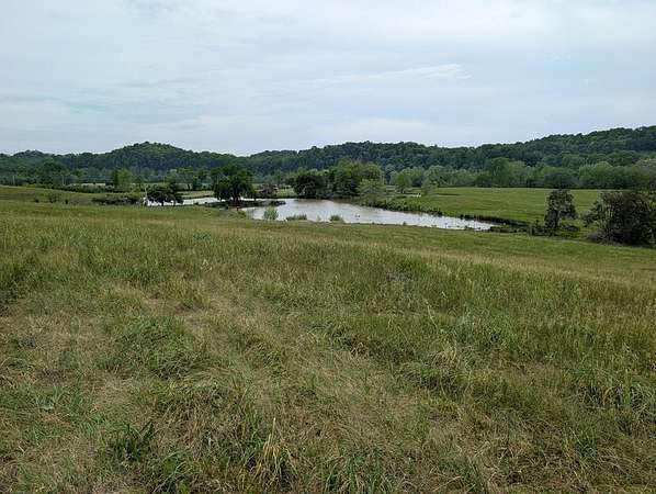 Residential Land for Sale in Burkesville, Kentucky