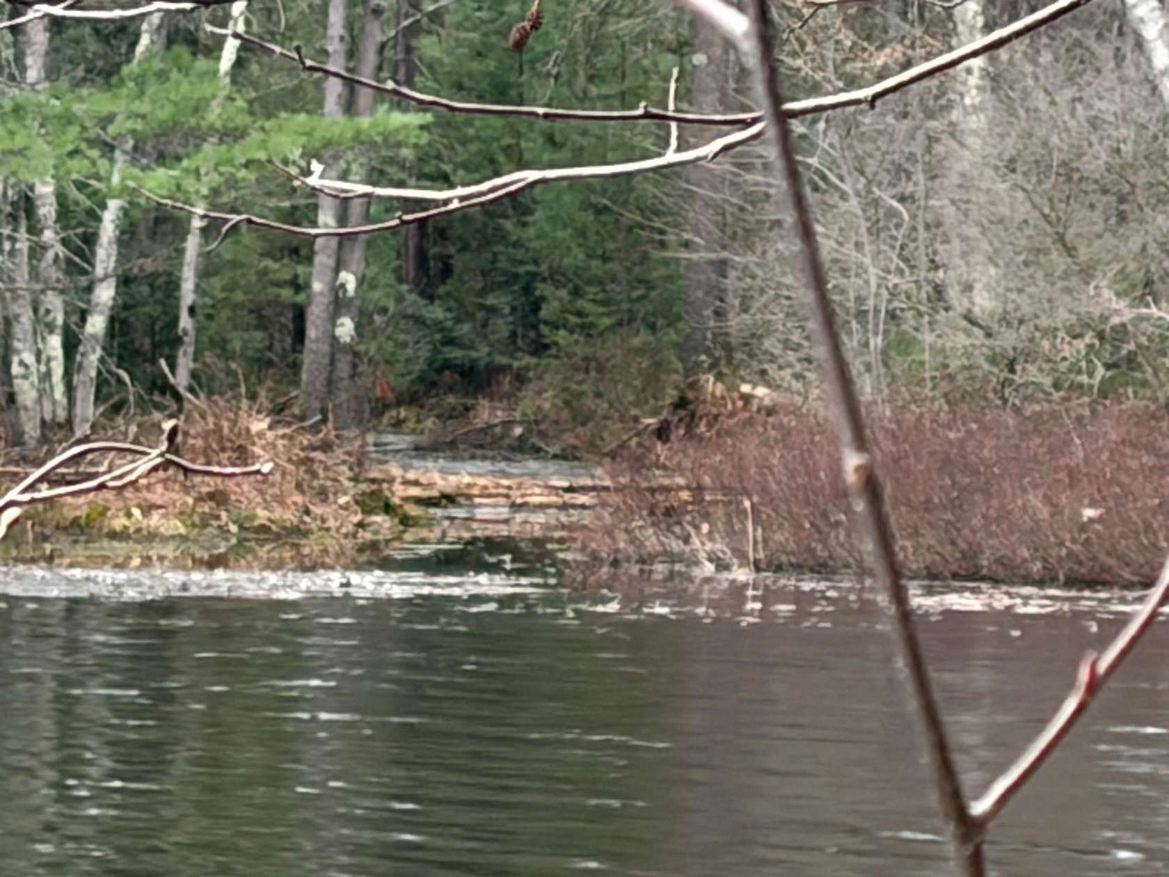 10.9 Acres of Recreational Land for Sale in Tomahawk, Wisconsin