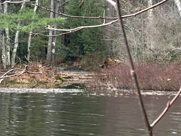 10.9 Acres of Recreational Land for Sale in Tomahawk, Wisconsin