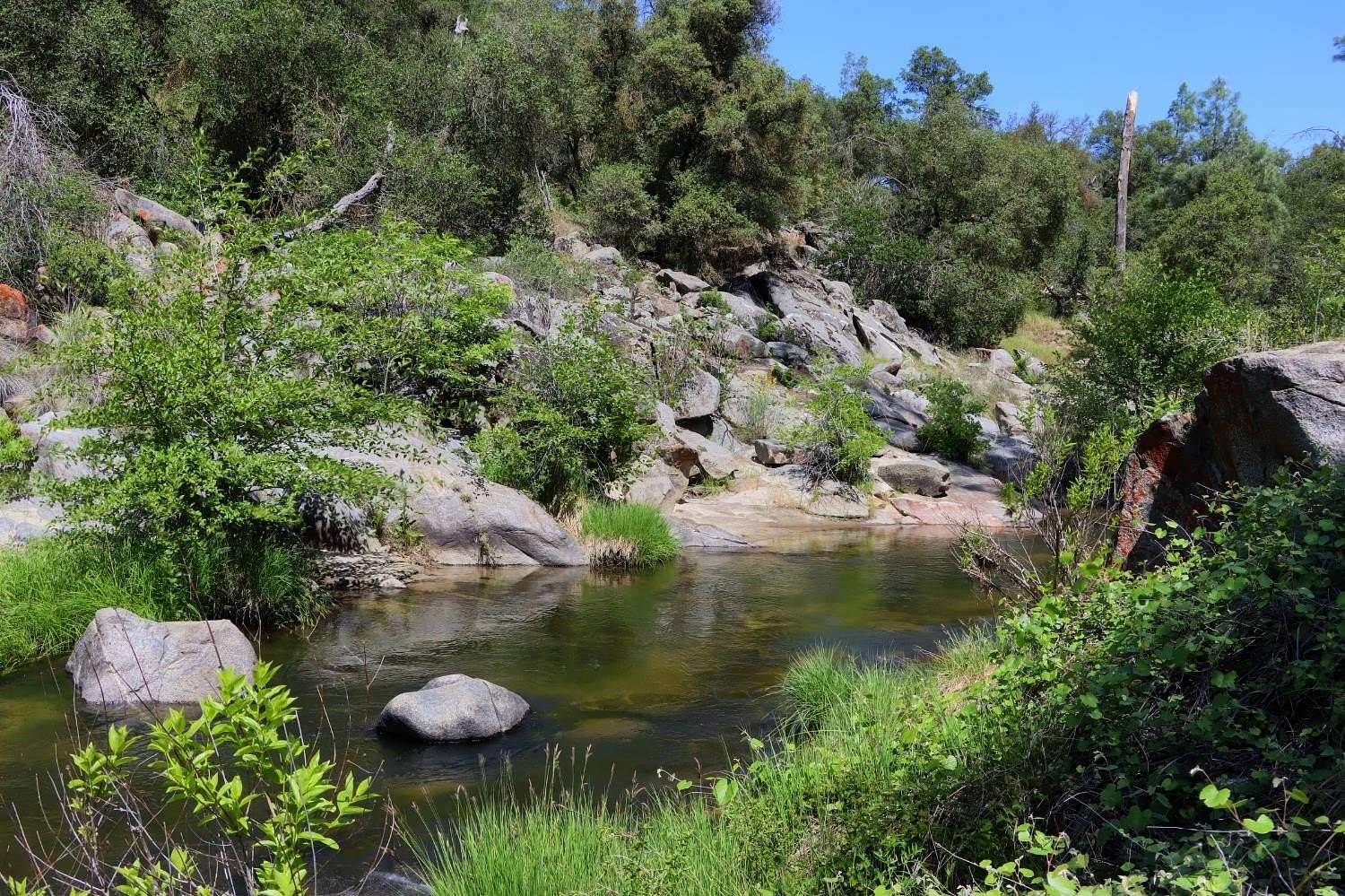 80 Acres of Recreational & Residential Land for Sale in Coarsegold, California