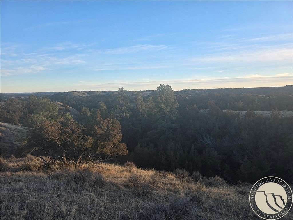 20 Acres of Recreational & Residential Land for Sale in Winnett, Montana