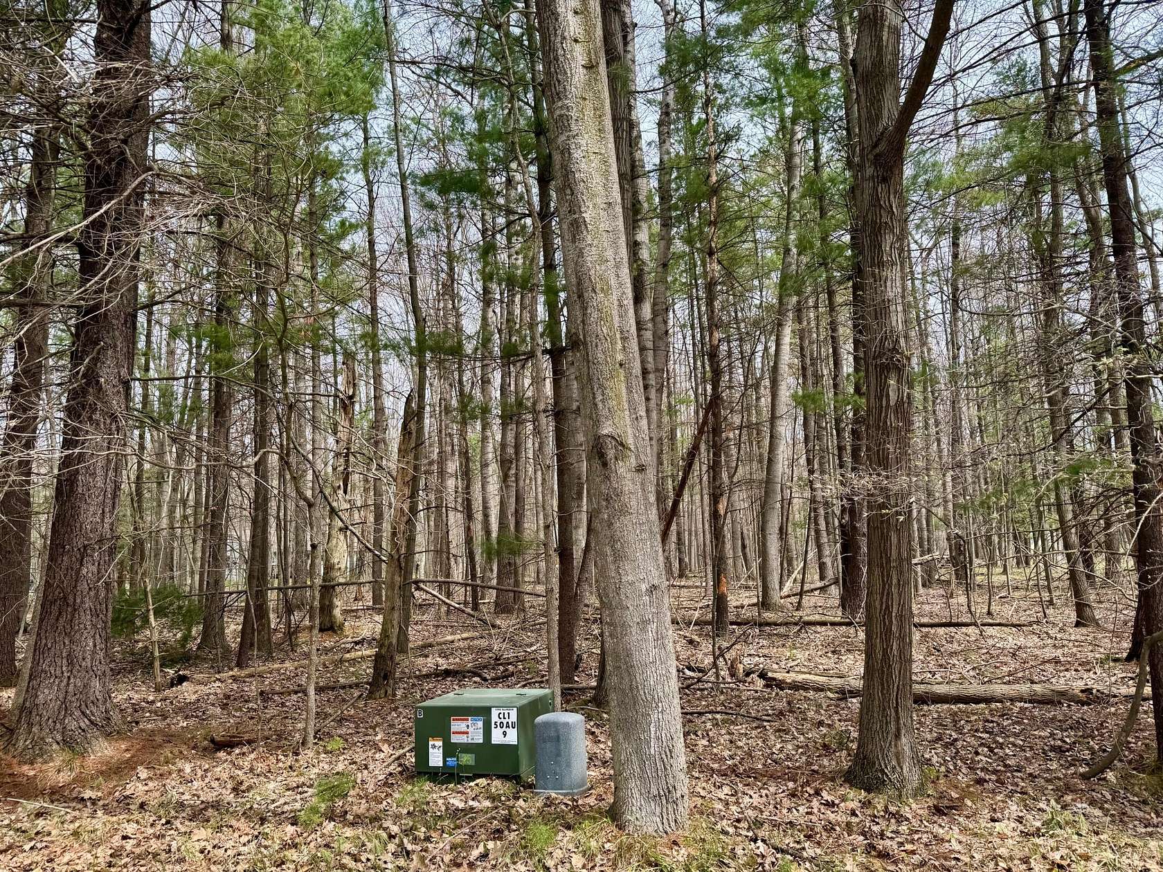 0.42 Acres of Residential Land for Sale in Canadian Lakes, Michigan