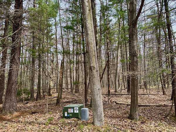 0.42 Acres of Residential Land for Sale in Canadian Lakes, Michigan