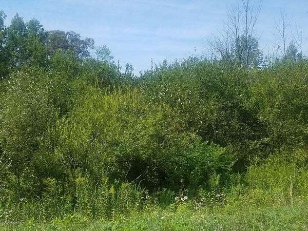 0.34 Acres of Residential Land for Sale in Rothbury, Michigan