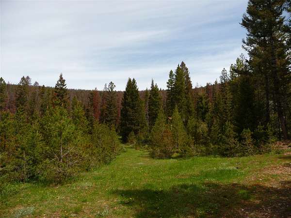 20 Acres of Recreational Land for Sale in Lincoln, Montana