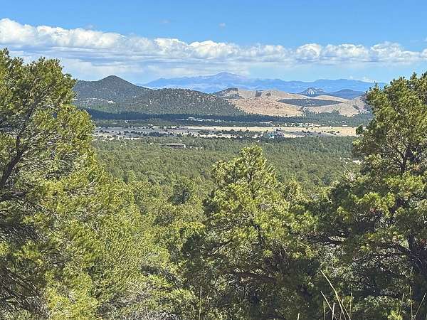 35.2 Acres of Recreational & Residential Land for Sale in Texas Creek, Colorado