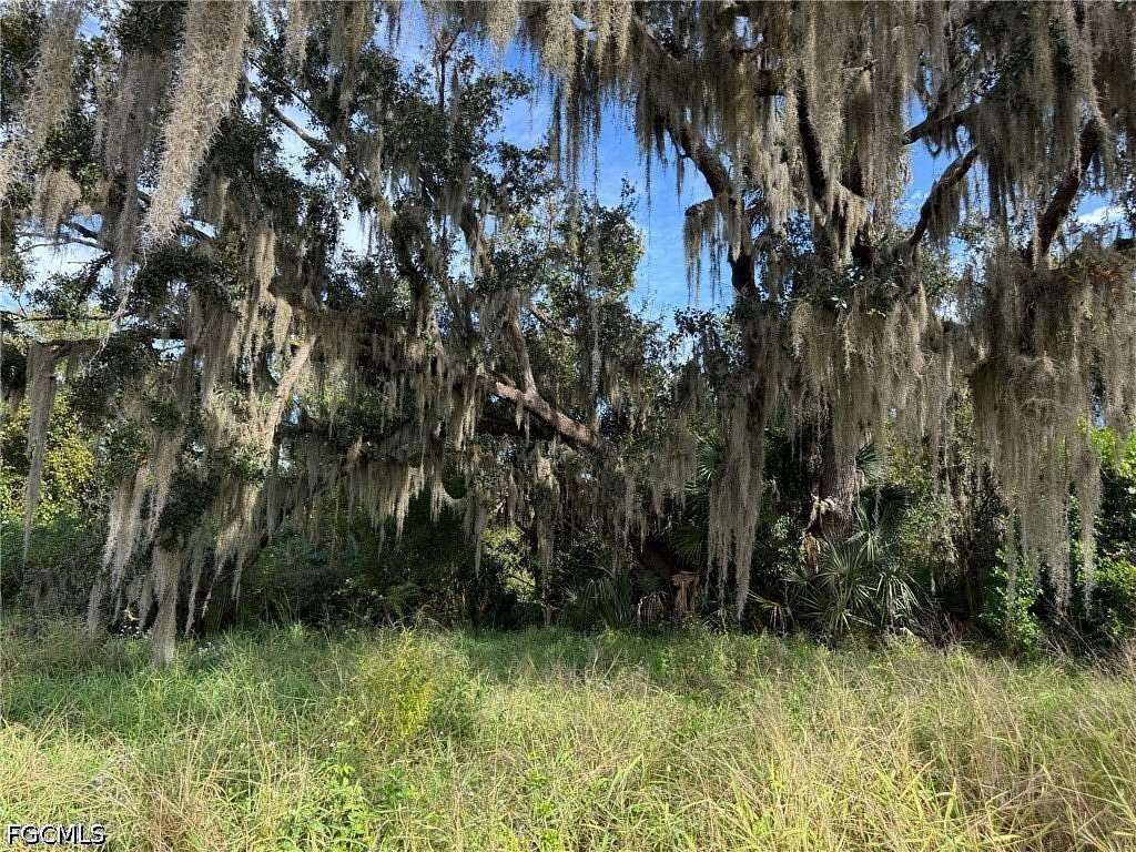 31.7 Acres of Land for Sale in Wauchula, Florida