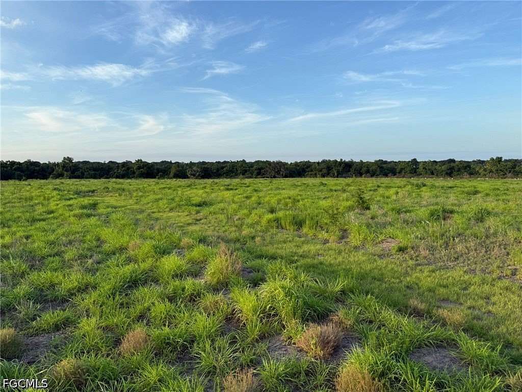 31.7 Acres of Land for Sale in Wauchula, Florida