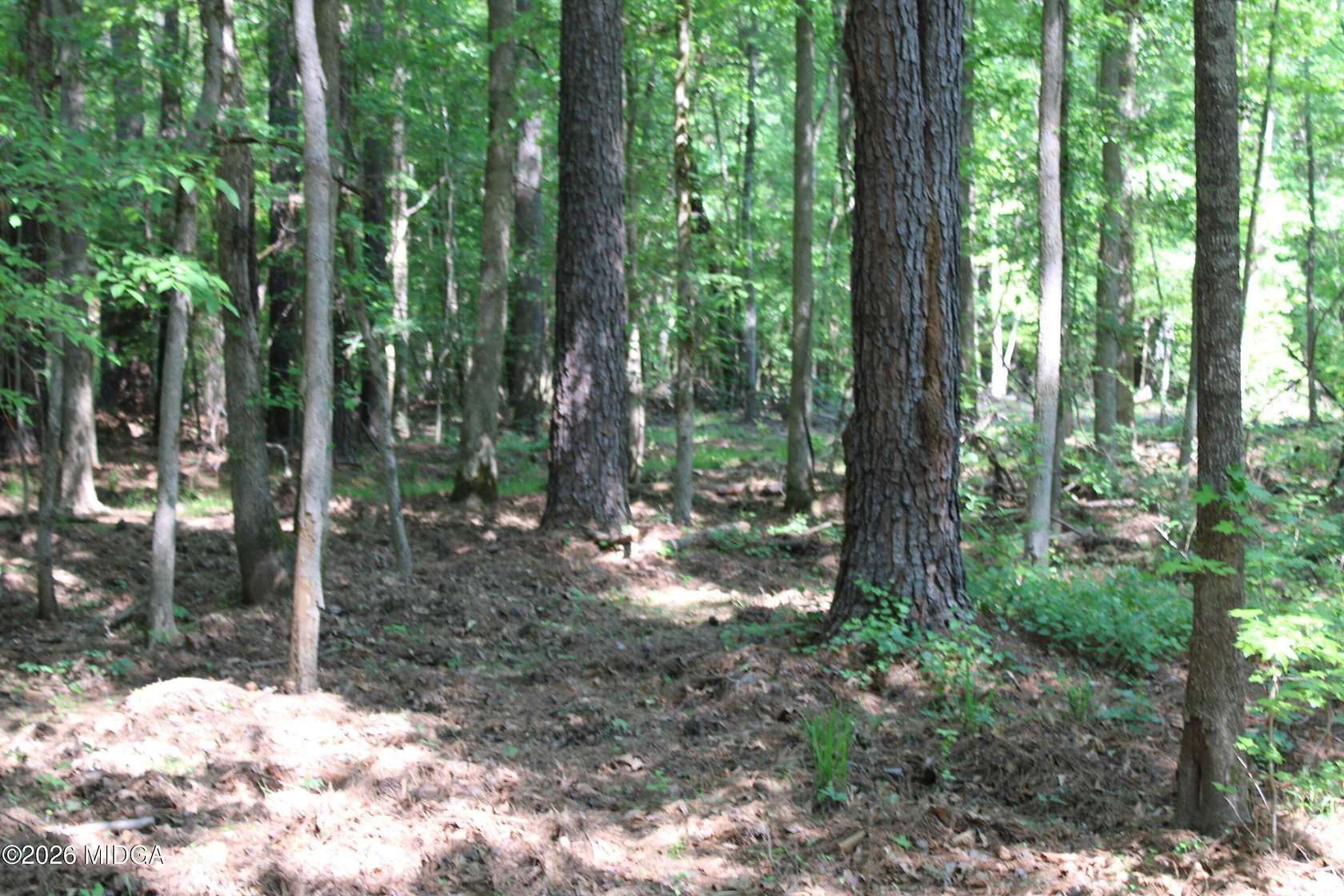 13 Acres of Land for Sale in Forsyth, Georgia
