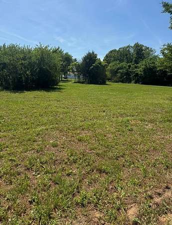 0.81 Acres of Land for Sale in Tennessee Colony, Texas
