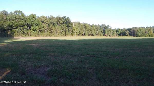 4 Acres of Land for Sale in Bruce, Mississippi