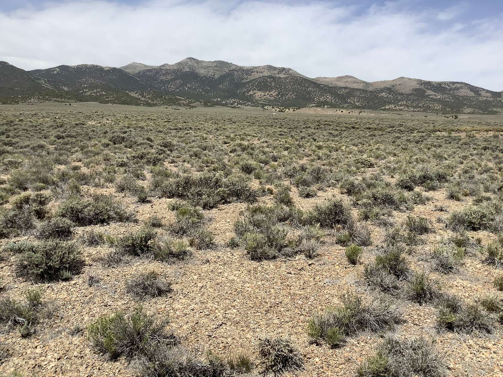 1.9 Acres of Residential Land for Sale in Montello, Nevada