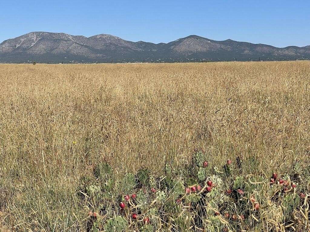 51.7 Acres of Recreational & Residential Land for Sale in Edgewood, New Mexico