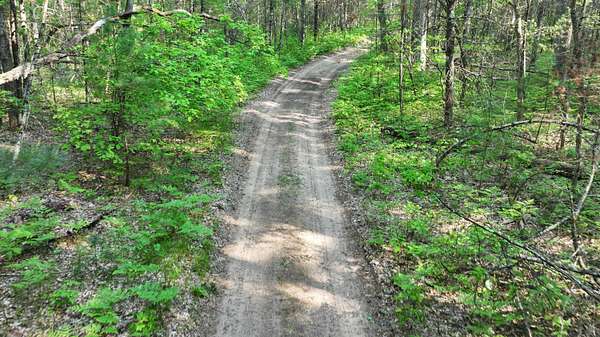 10 Acres of Recreational Land for Sale in Free Soil, Michigan