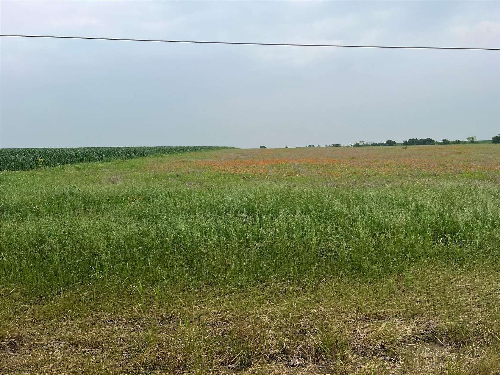 6 Acres of Land for Sale in Granger, Texas