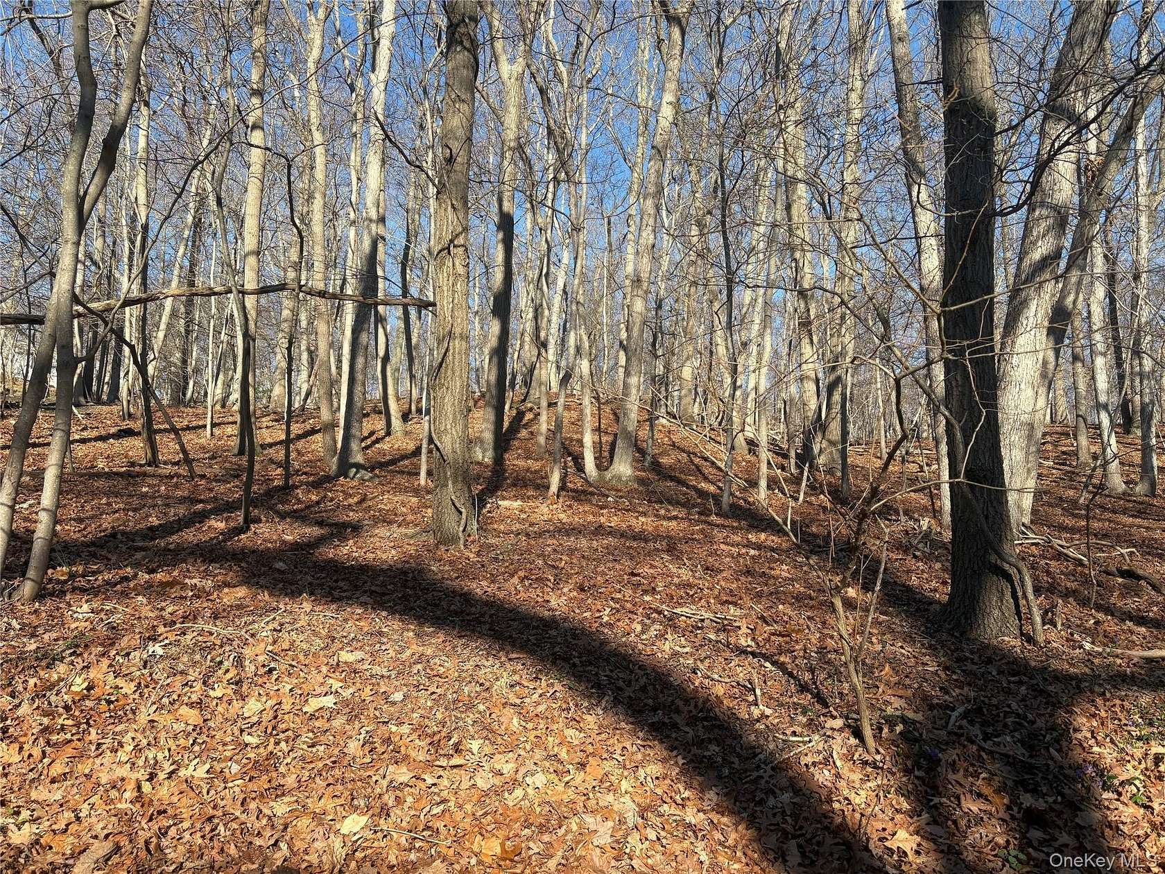 1.1 Acres of Land for Sale in Miller Place, New York