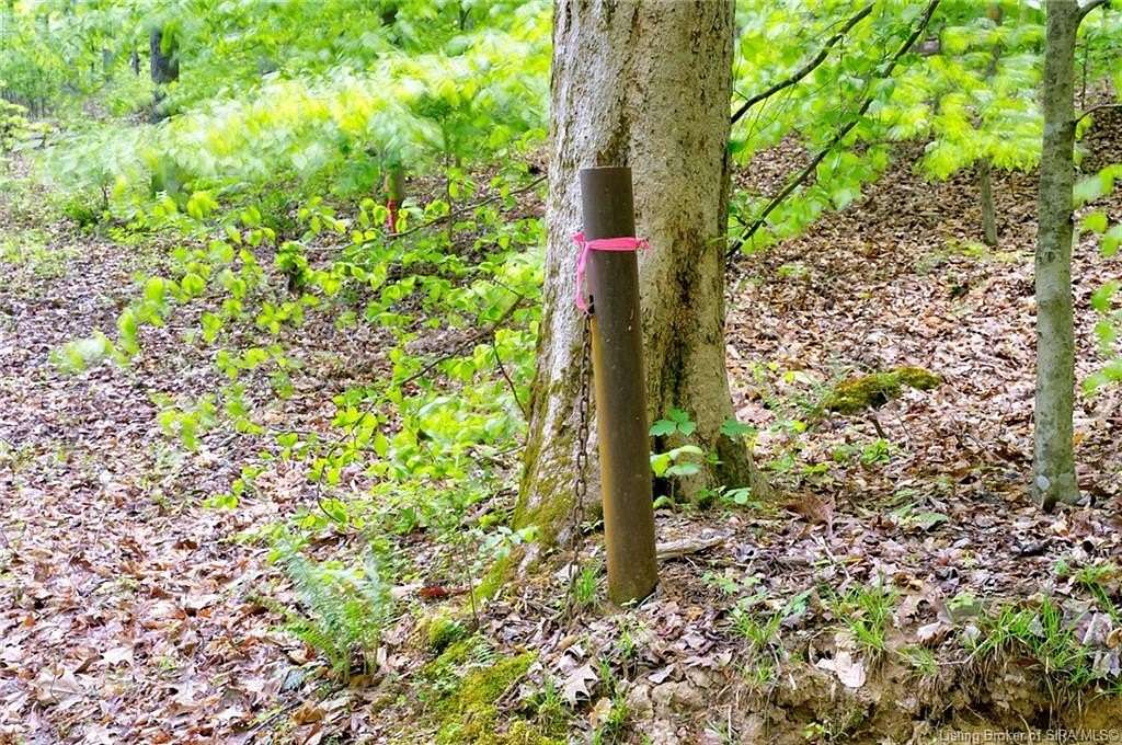 43 Acres of Land for Sale in Mauckport, Indiana