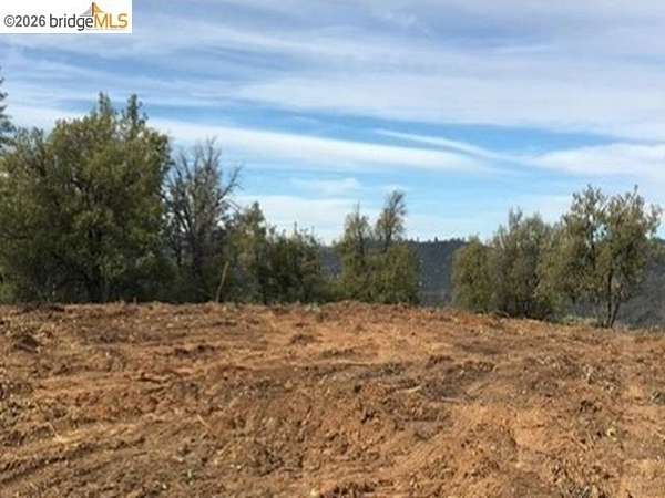 40 Acres of Agricultural Land for Sale in Columbia, California