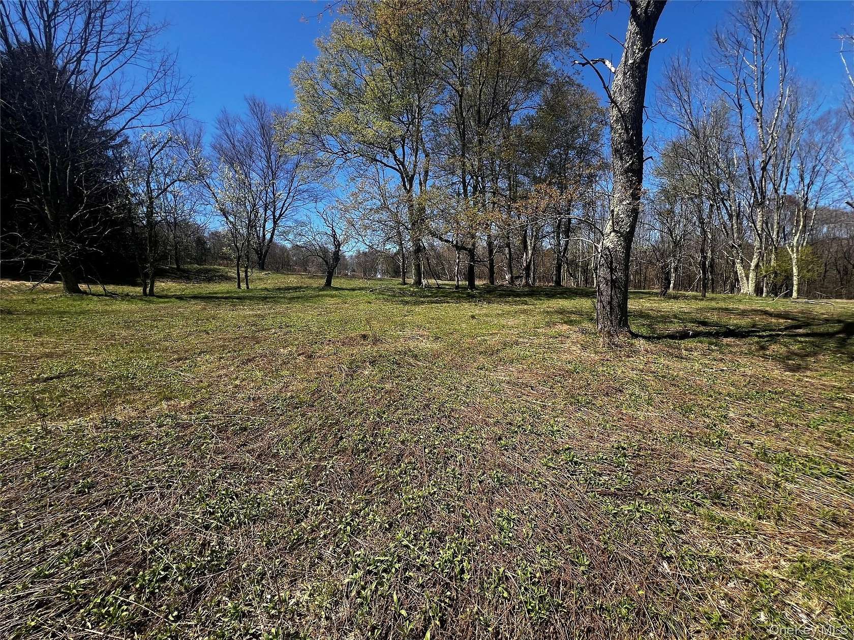 7.85 Acres of Residential Land for Sale in Bethel, New York