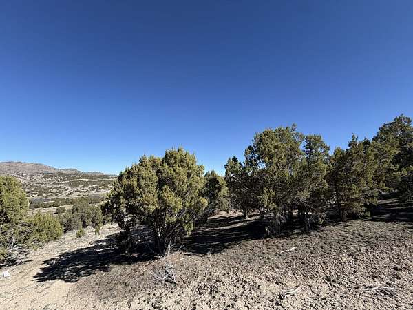 10.7 Acres of Land for Sale in Elko, Nevada
