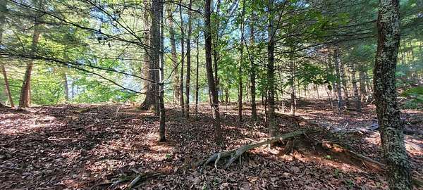 1.23 Acres of Residential Land for Sale in Spring City, Tennessee