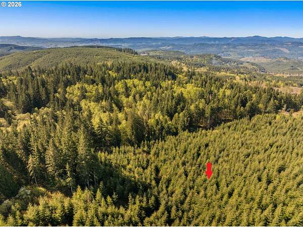 10 Acres of Land for Sale in Banks, Oregon