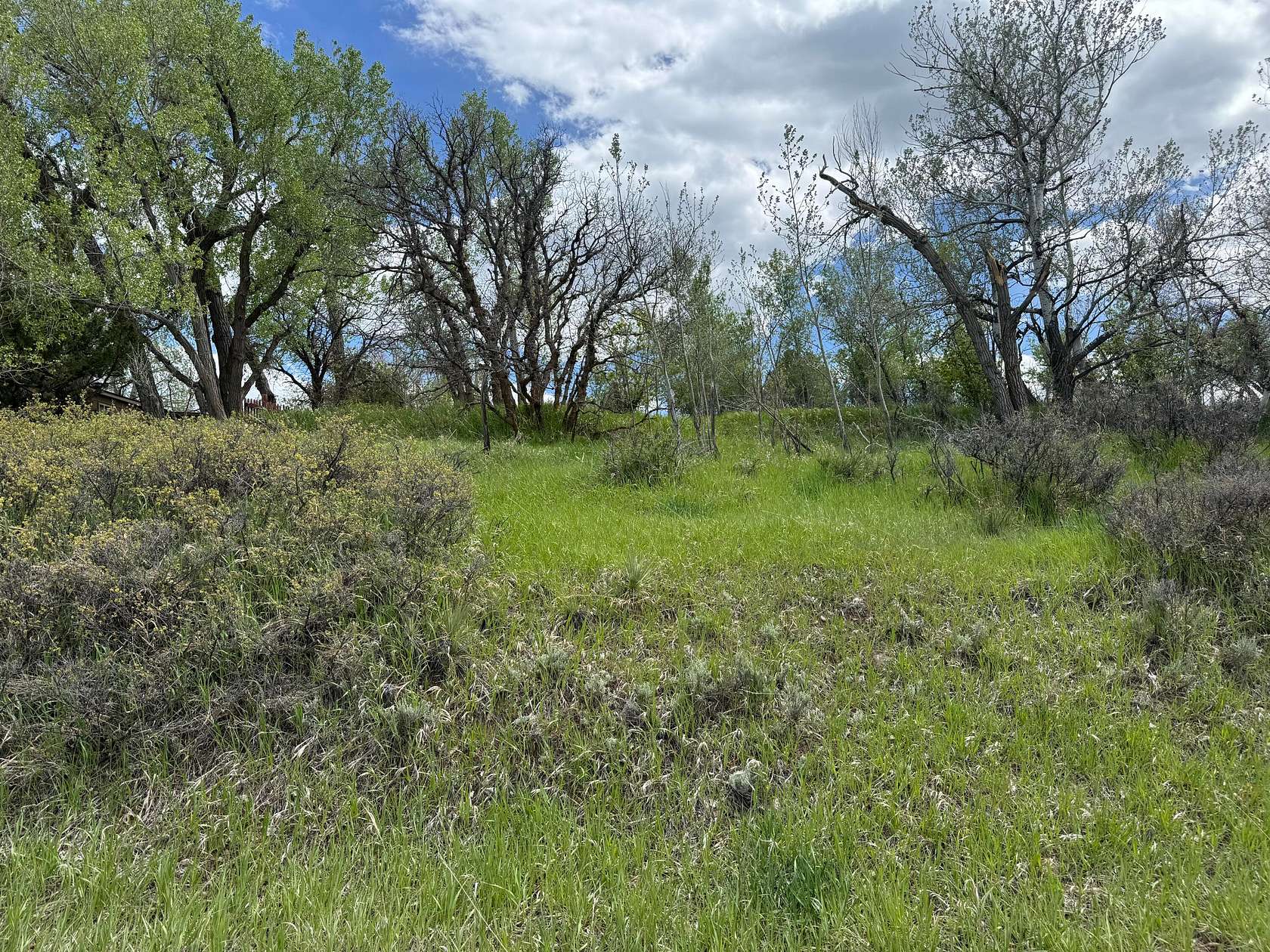 0.34 Acres of Land for Sale in La Veta, Colorado