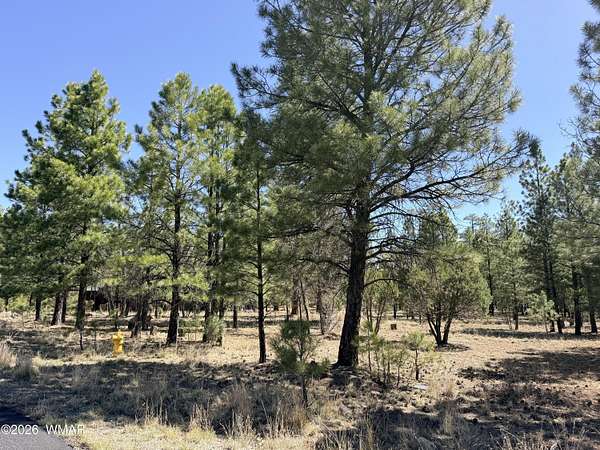 0.98 Acres of Residential Land for Sale in Happy Jack, Arizona