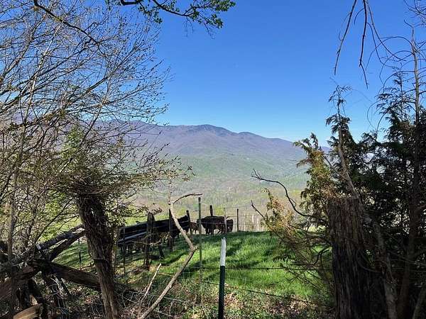 12.3 Acres of Recreational Land for Sale in Sylva, North Carolina