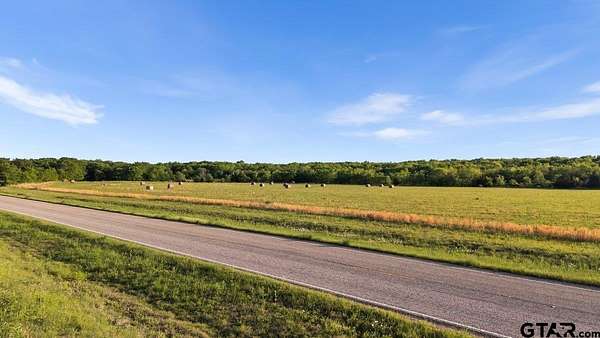 16.6 Acres of Land for Sale in Cooper, Texas