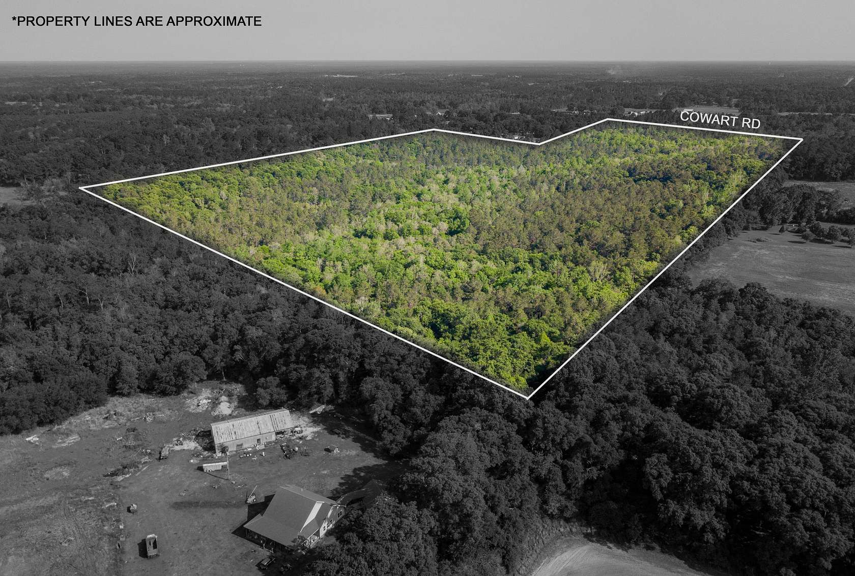 122 Acres of Recreational & Residential Land for Sale in Lucedale, Mississippi