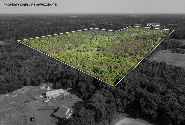 122 Acres of Recreational & Residential Land for Sale in Lucedale, Mississippi