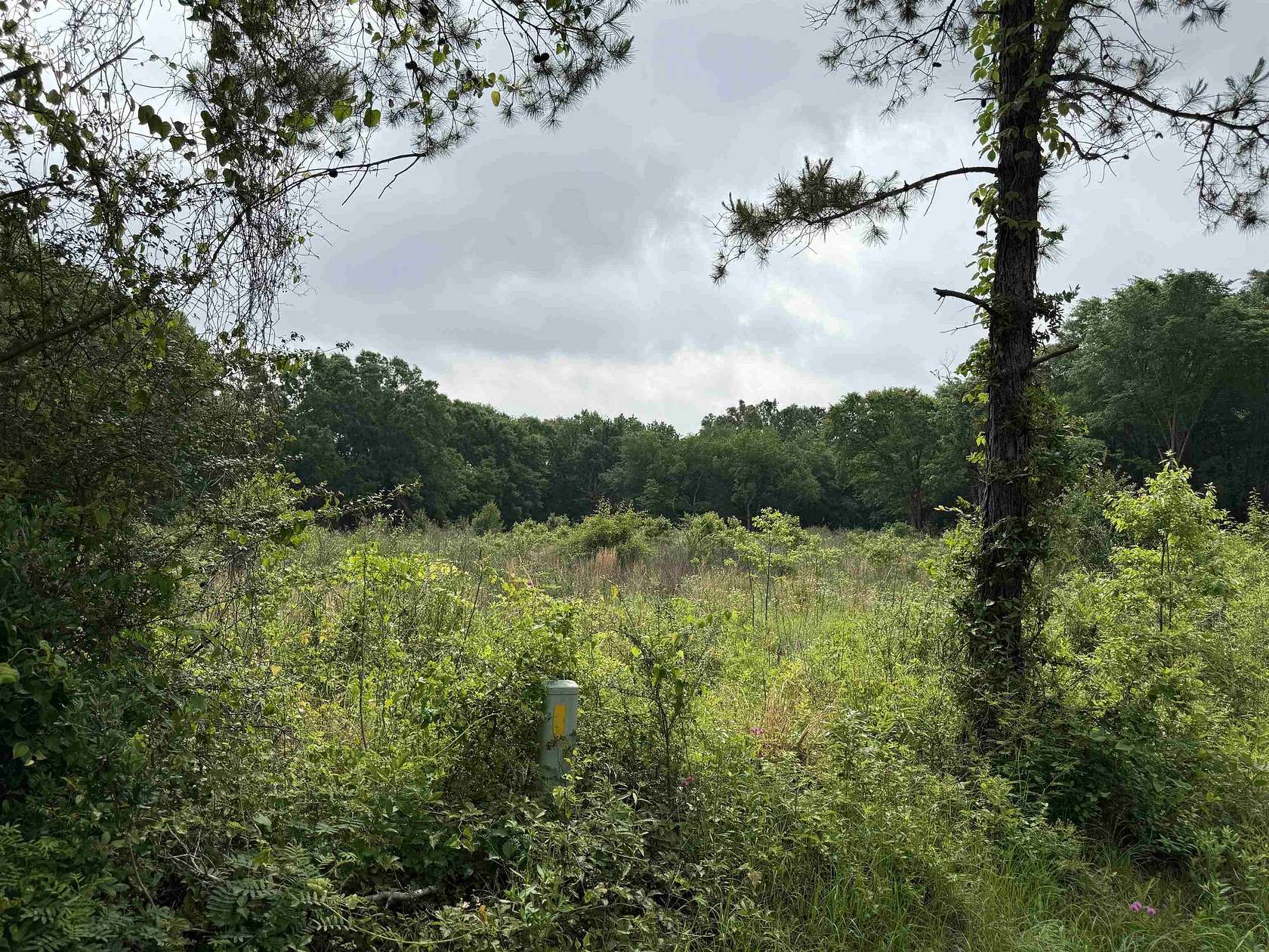 21 Acres of Recreational & Residential Land for Sale in Henderson, Texas