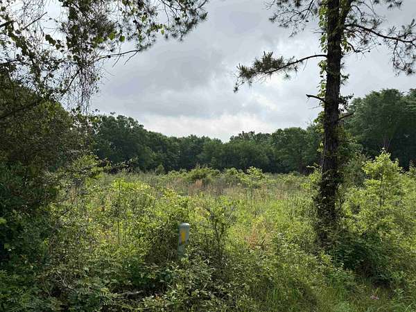 21 Acres of Recreational & Residential Land for Sale in Henderson, Texas