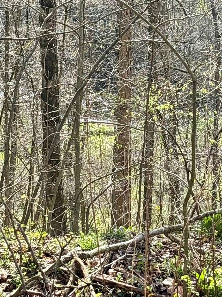 4.5 Acres of Land for Sale in Volant, Pennsylvania