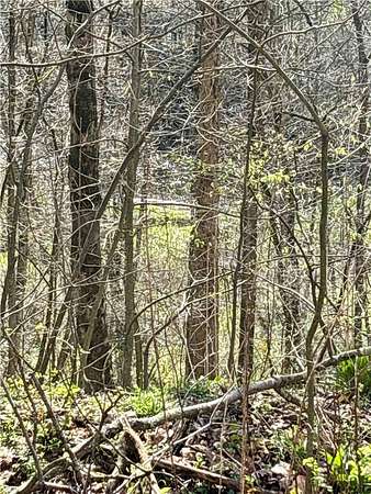 4.5 Acres of Residential Land for Sale in Volant, Pennsylvania