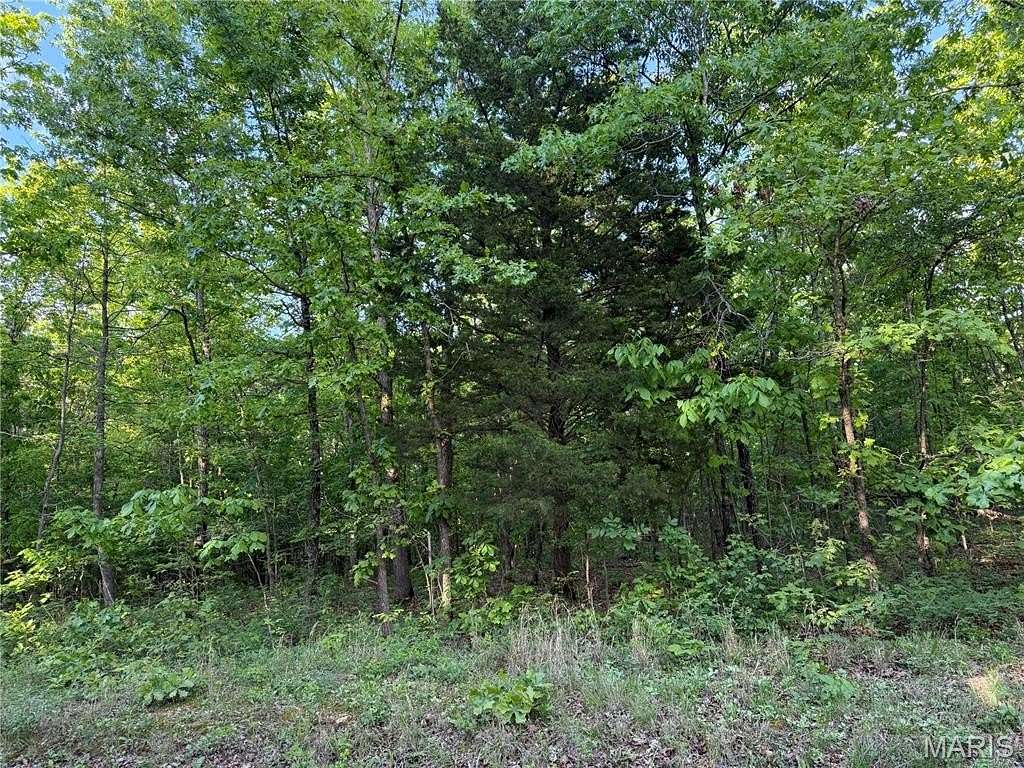 4 Acres of Residential Land for Sale in Ellsinore, Missouri