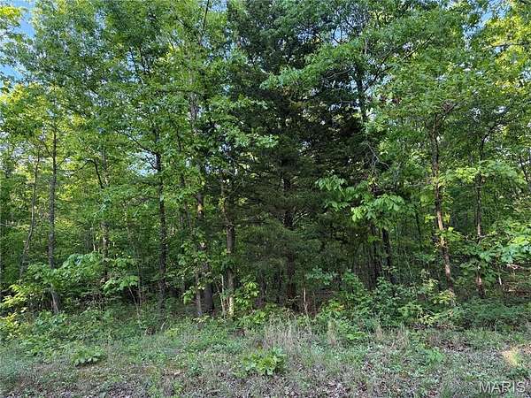 4 Acres of Residential Land for Sale in Ellsinore, Missouri