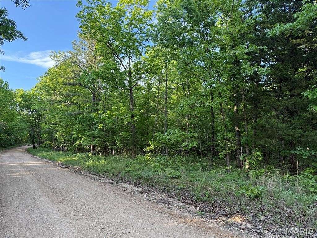 4 Acres of Residential Land for Sale in Ellsinore, Missouri