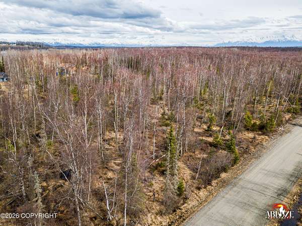 10.4 Acres of Land for Sale in Wasilla, Alaska