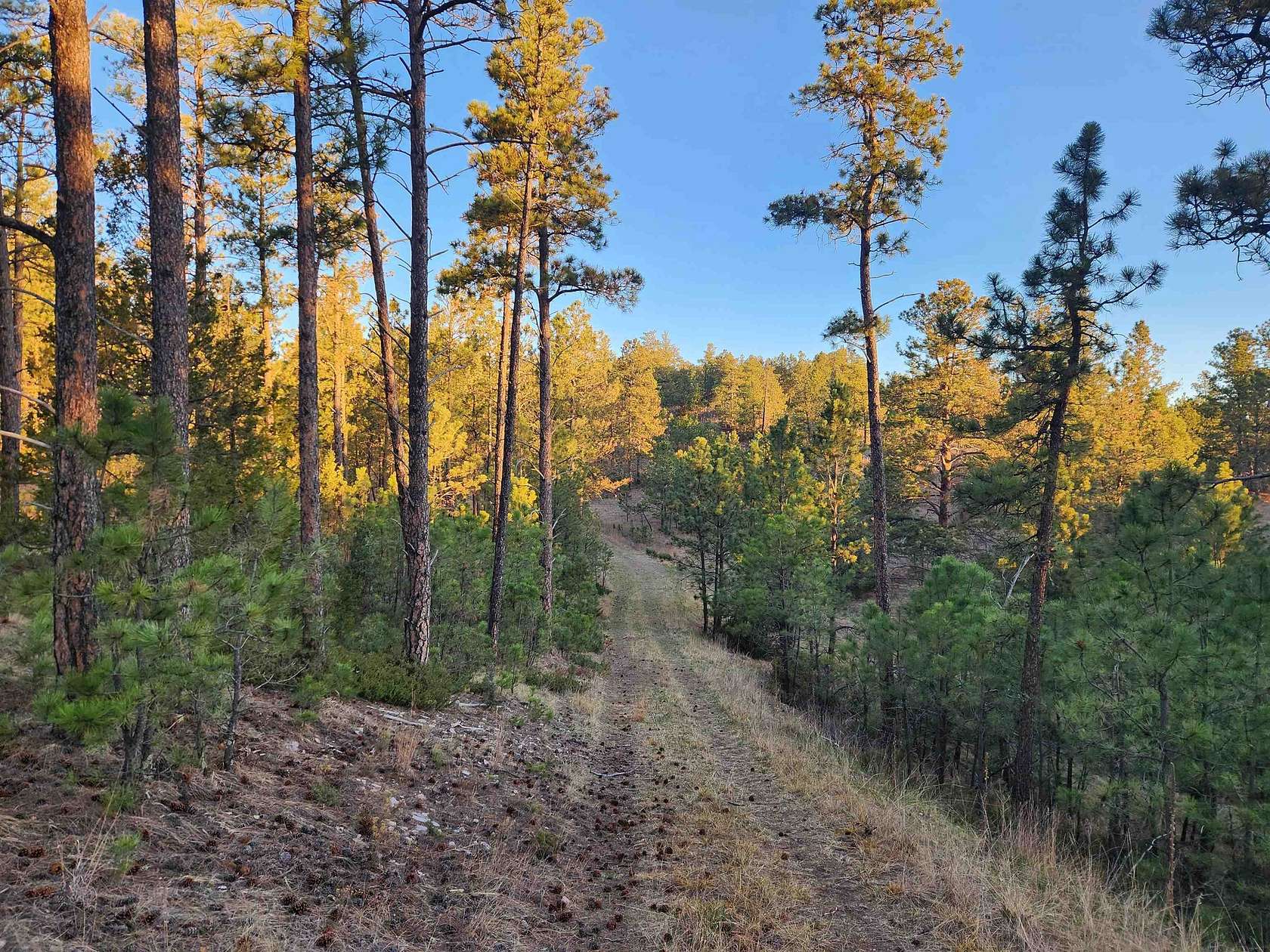 9.22 Acres of Residential Land for Sale in Hot Springs, South Dakota