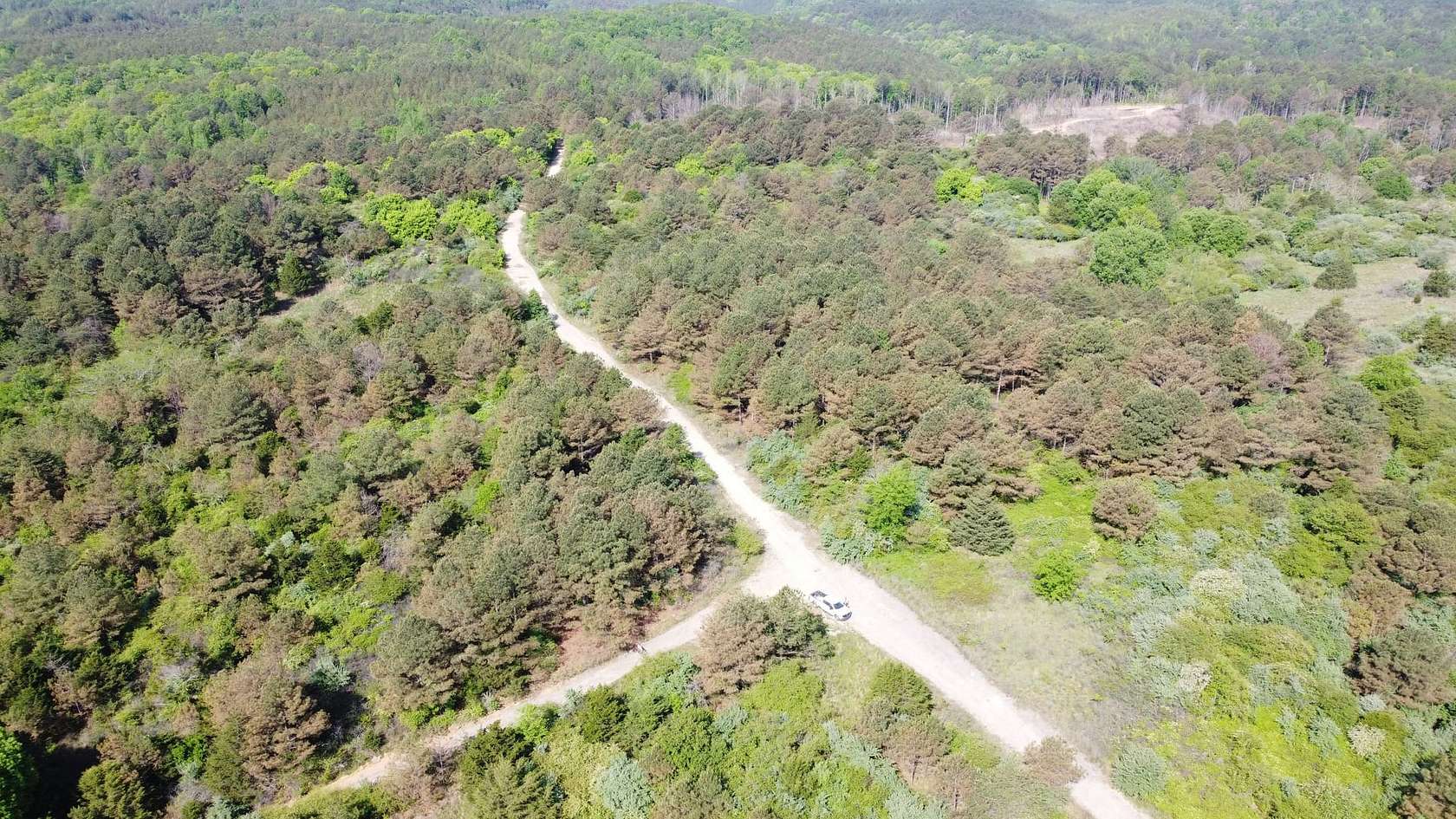 20 Acres of Land for Sale in Lynn, Alabama