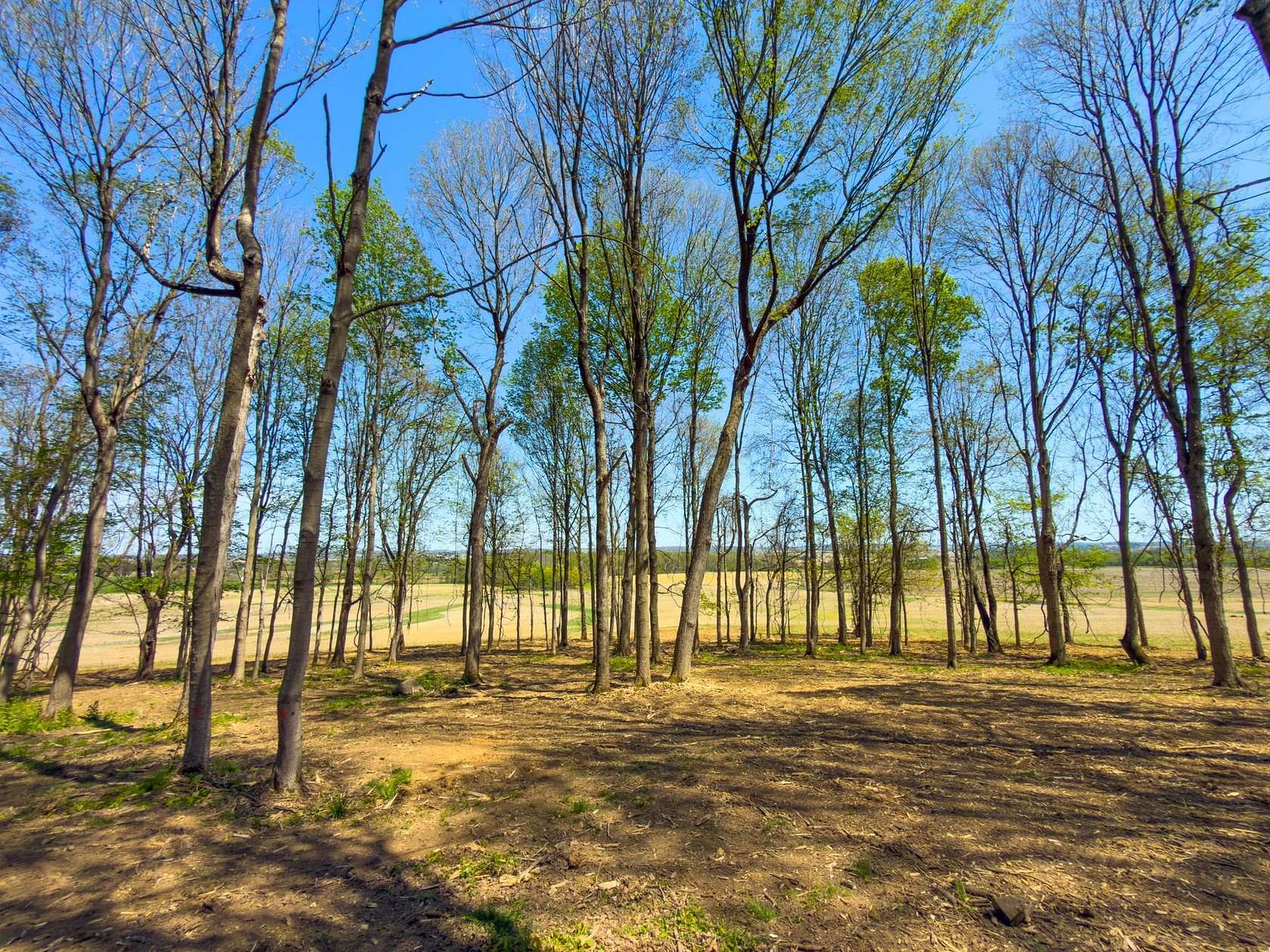 10.7 Acres of Recreational Land for Sale in Amanda, Ohio
