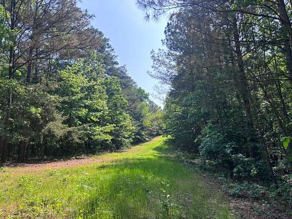 79.5 Acres of Land for Sale in Winfield, Alabama