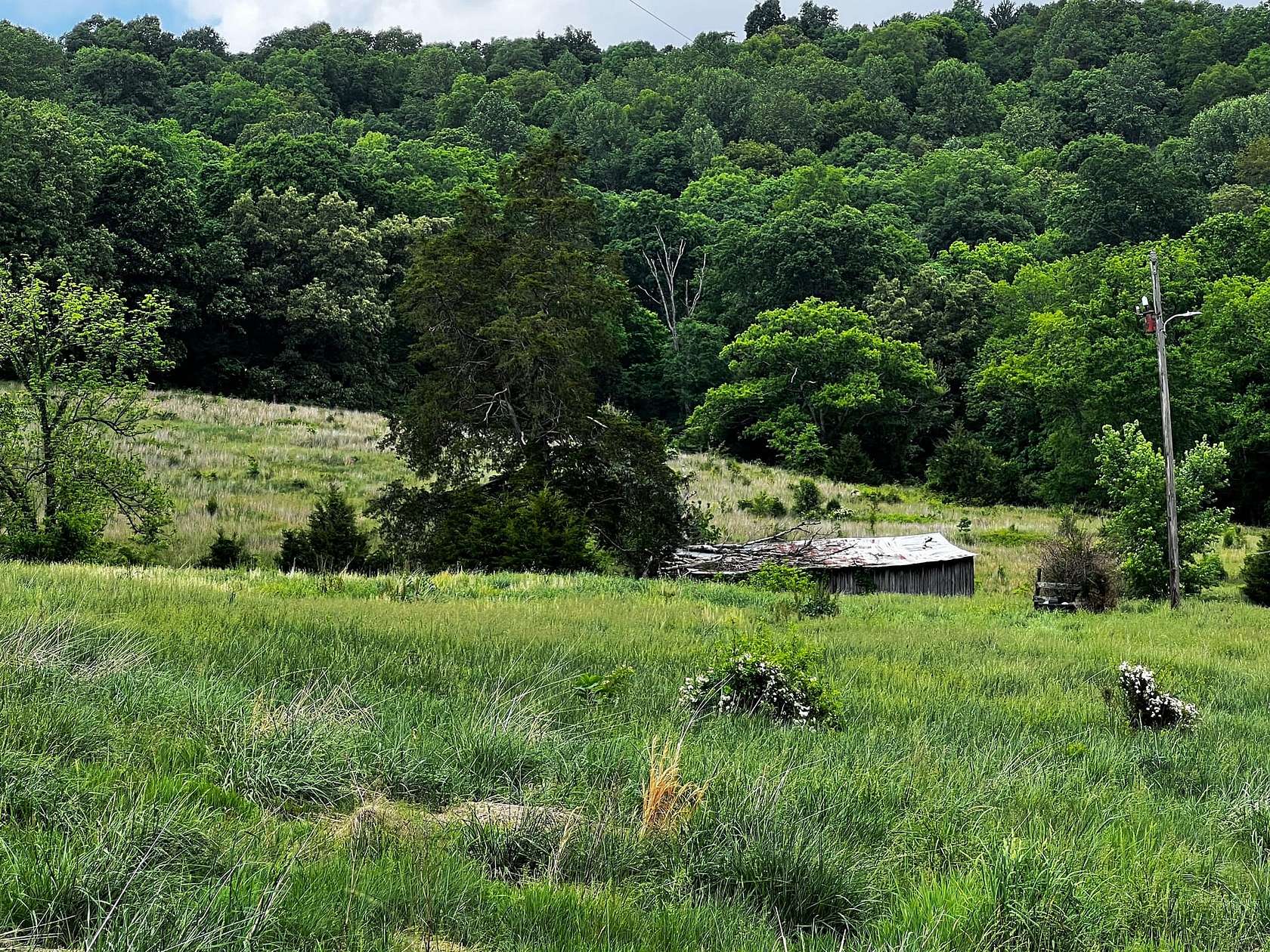 38 Acres of Recreational Land for Sale in Horse Cave, Kentucky