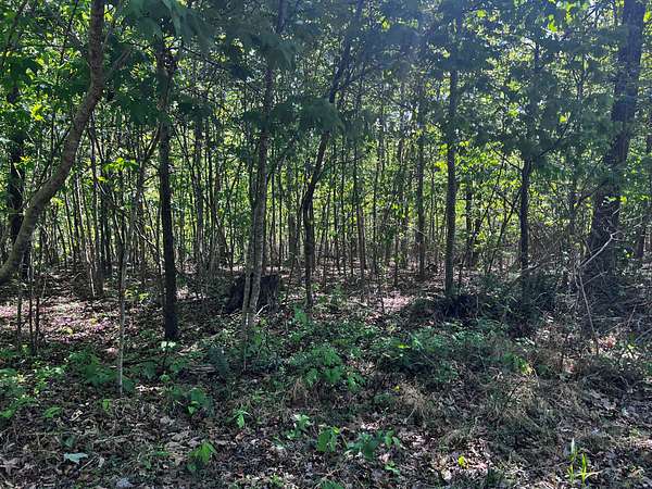 38 Acres of Recreational Land for Sale in Horse Cave, Kentucky