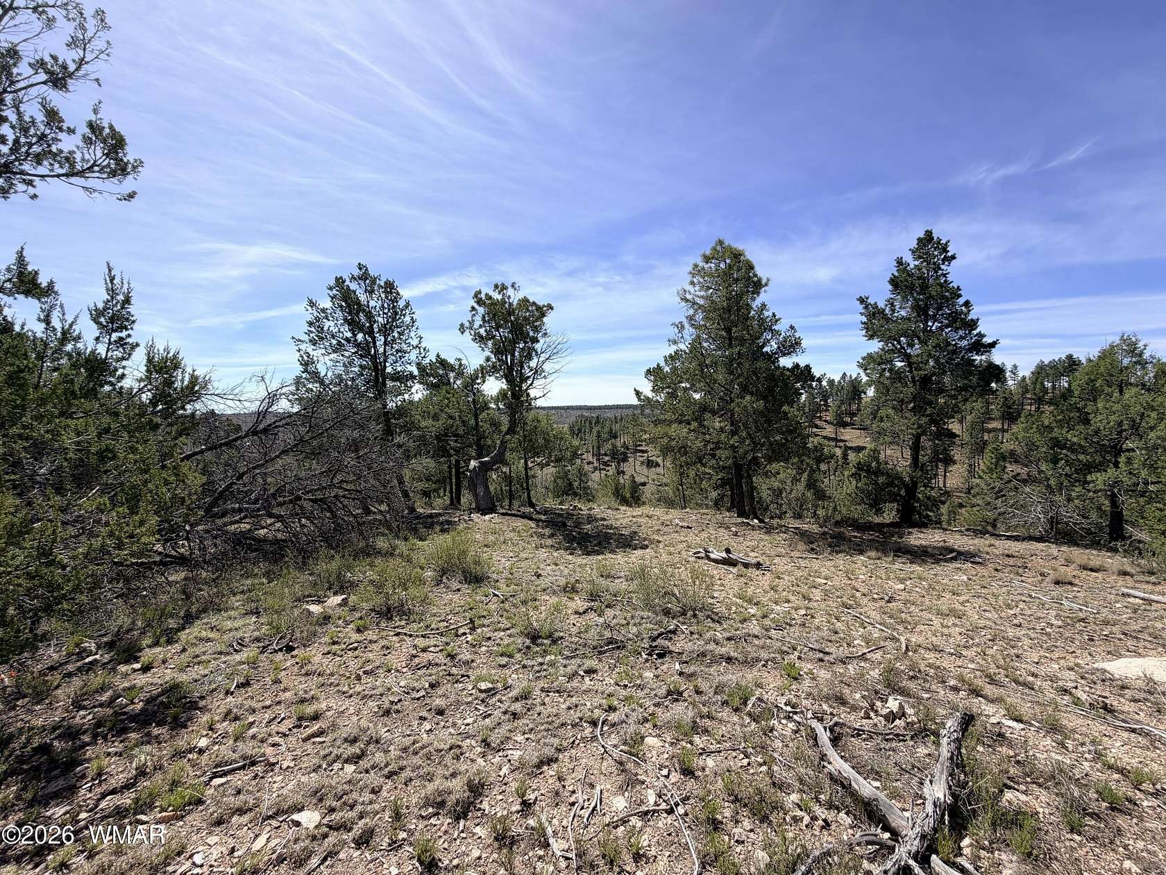 3.3 Acres of Residential Land for Sale in Happy Jack, Arizona