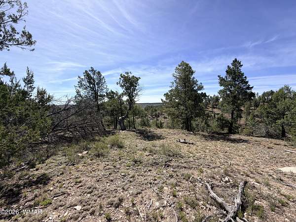 3.3 Acres of Residential Land for Sale in Happy Jack, Arizona