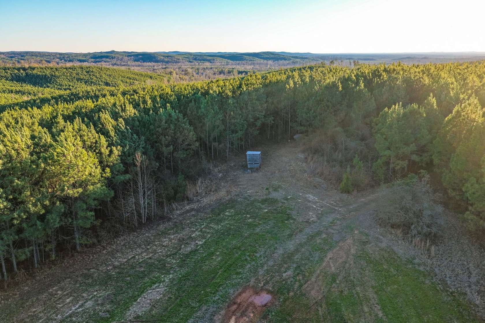 573 Acres of Recreational Land for Sale in Centreville, Alabama