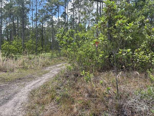 0.31 Acres of Land for Sale in St. Cloud, Florida
